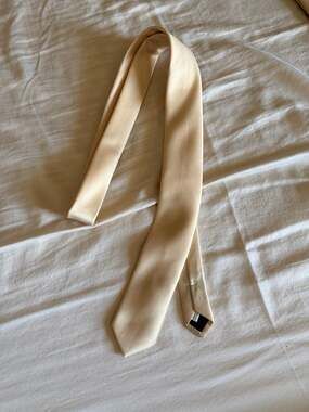 Vesuvio Napoli Solid Beige Skinny Necktie Unworn
